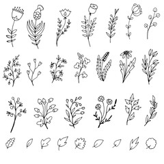 Sticker - Set of simple doodles of flowers and twigs