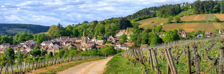 Wall Mural - village de Bourgogne au printemps