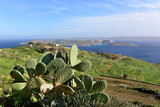 Fototapeta  - krajobraz morski