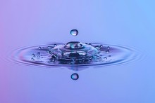 Close-up Of Purple Water Drop