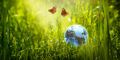 Card for World Earth Day. Saving environment, save clean green planet, ecology and life in peace concept. Earth crystal globe on fresh grass lawn background, peacock eye butterflies and ladybug.