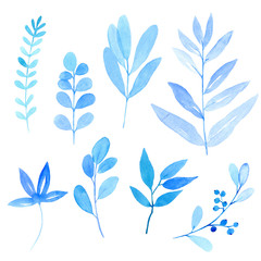 Sticker - watercolor floral elements isolated on white, blue leaves and branches