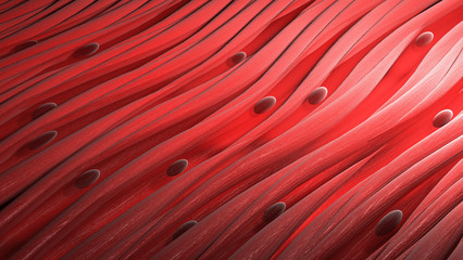 smooth muscle cells tissue. close-up 3d render