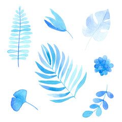 Sticker - watercolor floral elements isolated on white, blue leaves and branches