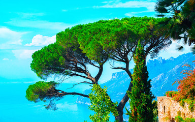 Wall Mural - Scenery with trees in Ravello village reflex