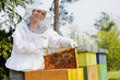 Beekeeper holding a honeycomb  woman  in protective workwear inspecting honeycomb frame at apiary.