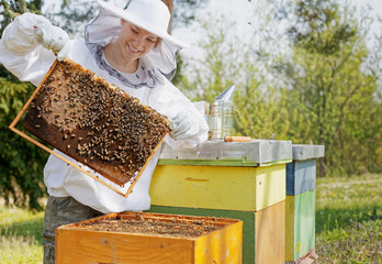 Beekeeper holding a honeycomb  woman  in protective workwear inspecting honeycomb frame at apiary.