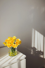 Yellow Spring Flowers In Vase Standing On White Table With Beautiful Shadows On The Wall.