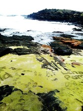 High Angle View Of Text And Footprints On Green Sand Amidst Rocks At Papakolea Beach
