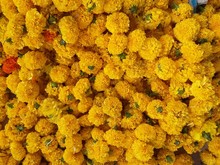 Full Frame Shot Of Yellow Marigolds At Market