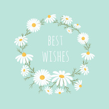 Cute Chamomile Flowers Frame Isolated On Blue Background, Best Wishes