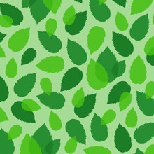 Abstract Pattern Of Mint Leaves. Flat Vector Illustration