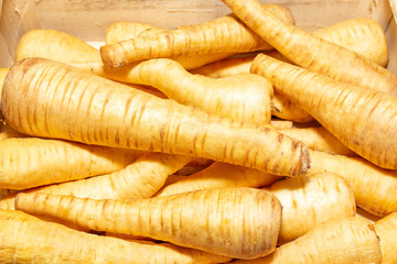 Wall Mural - Pile of raw parsnip