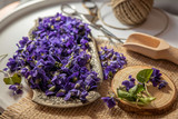 Fototapeta  - violeta odorata fresh violet petals, flowers for drying tea, edible flower 