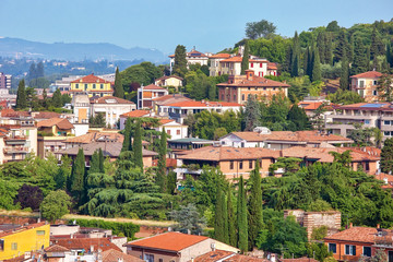 Wall Mural - Panorama of Verona, urban outdoor background