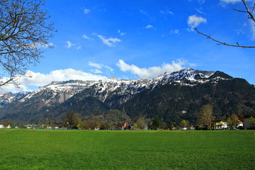 Wall Mural - Beautiful view of green grass, and landscaping in front of the Swiss Alps. Interlaken, Switzerland, in spring time. Nature background concept.