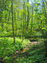 Naklejka na meble path in the forest