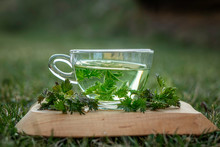 Cup Of Herbal Tea With Nettle On Wooden Background