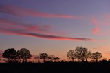 Fototapeta Sawanna - Parish rural landscape, Jersey, U.K. Spring sunset over a field.