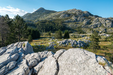 Nationalpark Lovćen , Montenegro