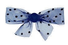 A Polka Dot Lace Gift Bow In Blue With Black Spots Isolated On A White Background