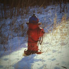 Red Fire Hydrant On Snow Covered Field