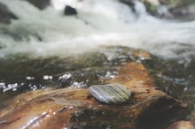 Close-up Of Rocks In River