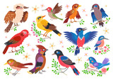 Fototapeta Pokój dzieciecy - Set of forest birds. Vector cartoon songbirds