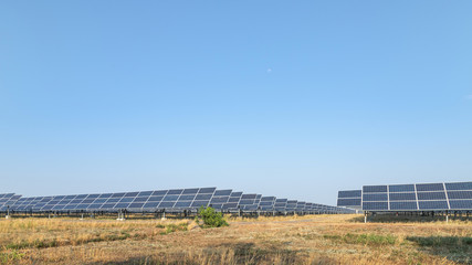 Wall Mural - rows array of polycrystalline silicon solar cells or photovoltaic cells in solar power plant turn up