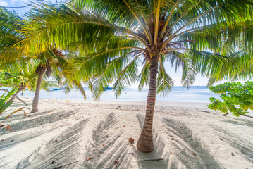 the beautifull beach of dhangethi, maldives. known for diving, day tour for resort and this beautifu