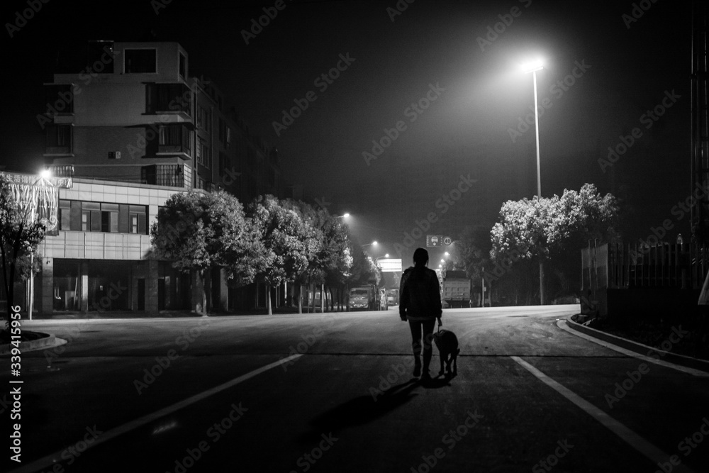 Silhouette Person Walking With Dog On Street At Night - obrazy, fototapety, plakaty 