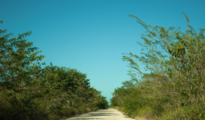 road to the sky