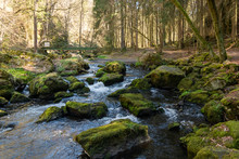 River Or Stream Flowing Strongly With White Turbulence Round Green Mossy Rocks In Close Up In A Concept Of The Natural Environment And Resources