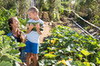 © JackF - Woman with son harvesting zucchini