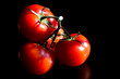 fresh tomato on black background