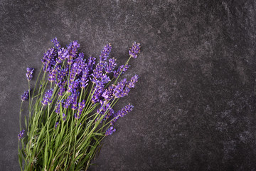 Sticker - Fresh lavender flowers