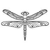 Fototapeta Motyle - Doodles design of dragonfly, design element, adult coloring book pages.