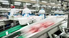 Fast Production Line - Meat Production Technology