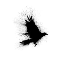 Black Silhouette Of A Flying Raven With Spread Wings With Paint Splashes, Splatters And Blots Isolated On A White Background.