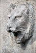 Źródełko. Głowa lwa. Strumyczek wypływa z paszczy kamiennej głowy lwa.