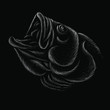 The Vector logo fish on black cloth for T-shirt print  design or outwear.  Fishing style grouper  background. This drawing would be nice to make on the black fabric or canvas.