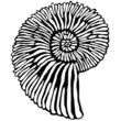 Ammonit in schwarz und weiß. Handgezeichnet als Vektor-Datei. Verwendbar als Grußkartenmotiv, Logo oder Poster.