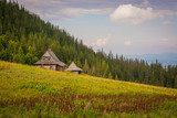 Fototapeta Paryż - Mountain wooden rural cottage on a meadow in the mountains, a meadow with flowers, in the background a green forest and mountains, blue sky, Poland, Tatra Mountains