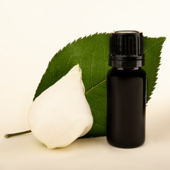 Essential Aromatherapy Oils. Photo mockup for your product. Glass dark bottle of aroma oil with a white rose bud and a green leaf.