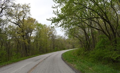 Poster - Scenic Road