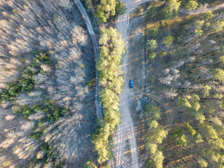 Wall Mural - One isolated car on a road in a forest. Aerial drone view.