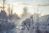 Frozen Grass 3