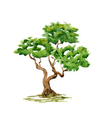 Wall Mural - watercolor summer tree. hand drawn green plant for background, poster, banner. nature