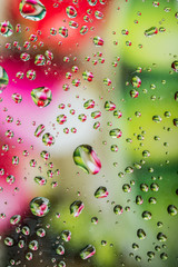 Wall Mural - Water drops on glass with colorful background