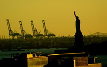Statue Of Liberty With Cranes Against Clear Sky